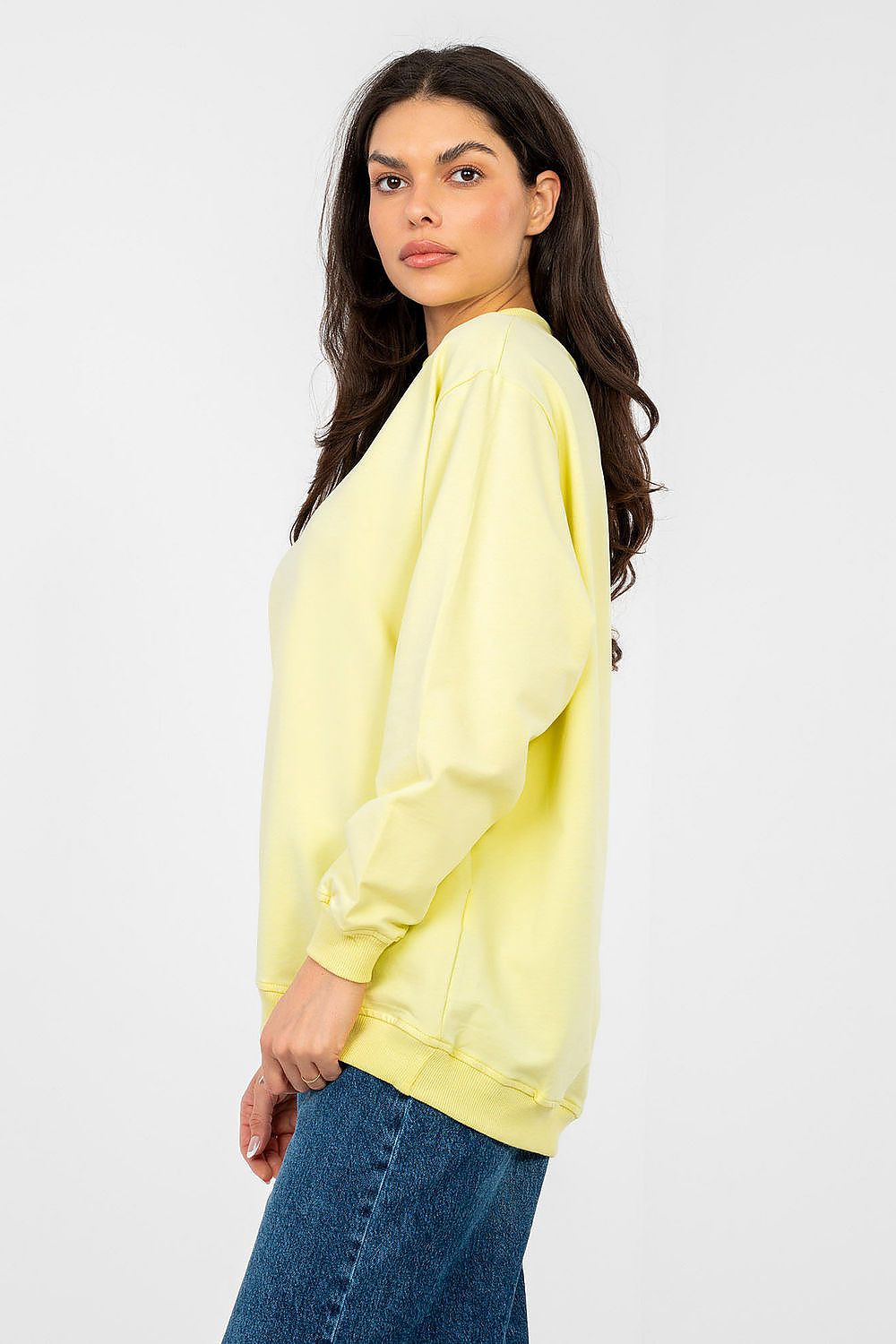  Sweatshirt model 224943 BFG 